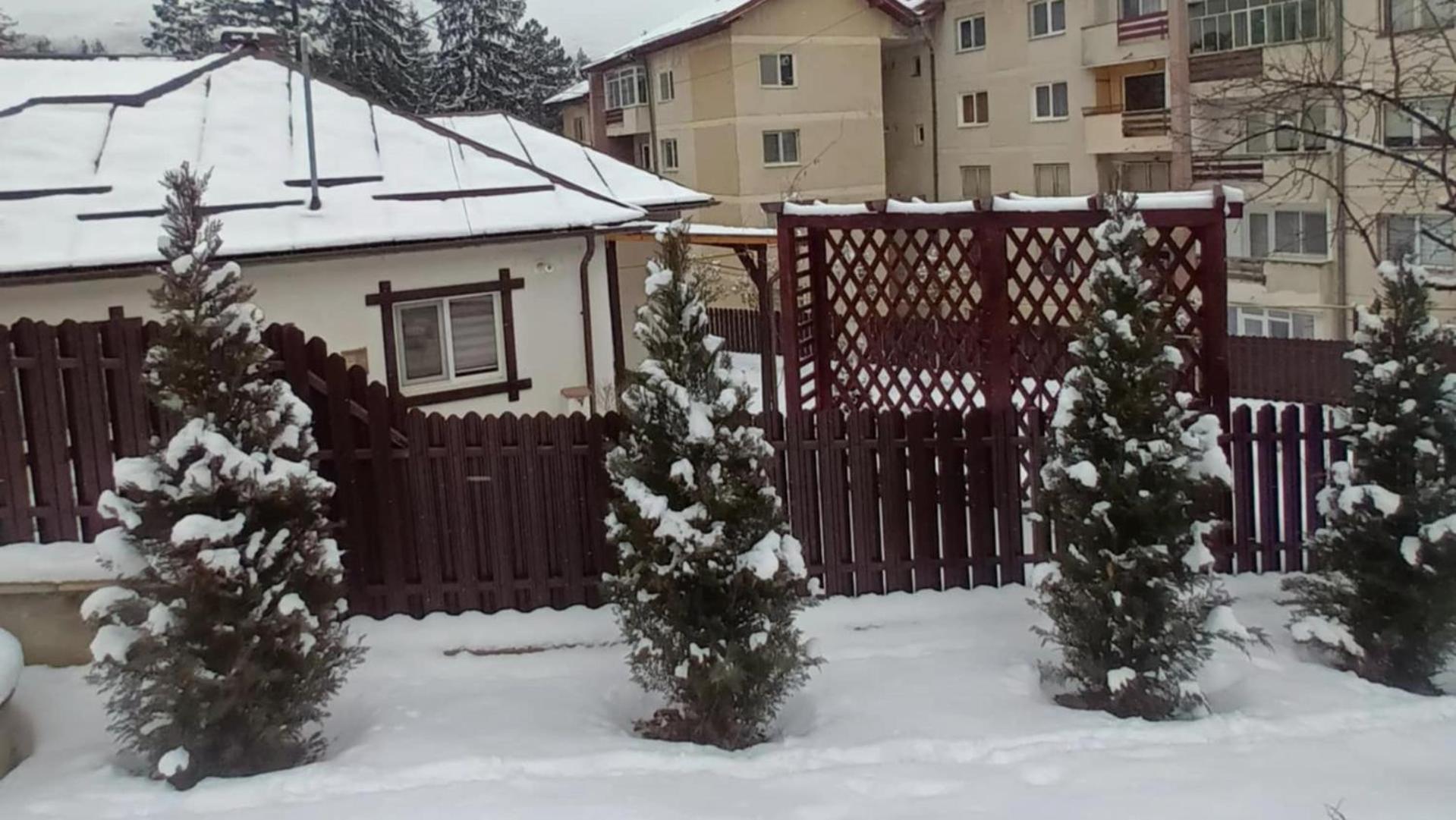 Villa Casa Tihna Băile Olăneşti Exterior foto